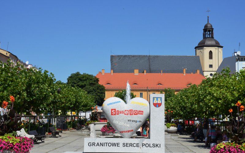 Wieża widokowa na wzgórzu z panoramą miasta i okolic