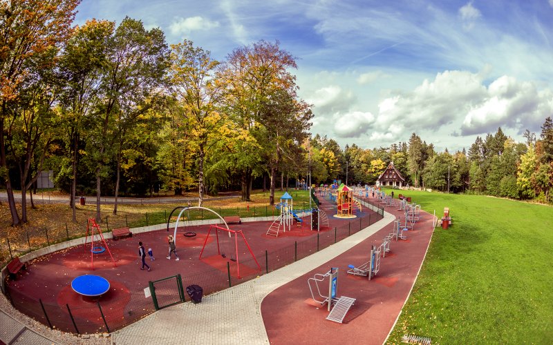 Leśny tor lub zjeżdżalnia wśród drzew