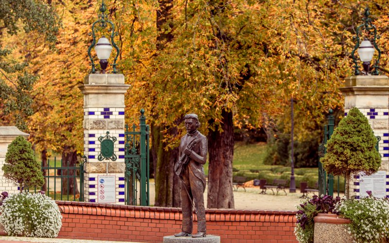 Leśny tor lub zjeżdżalnia wśród drzew