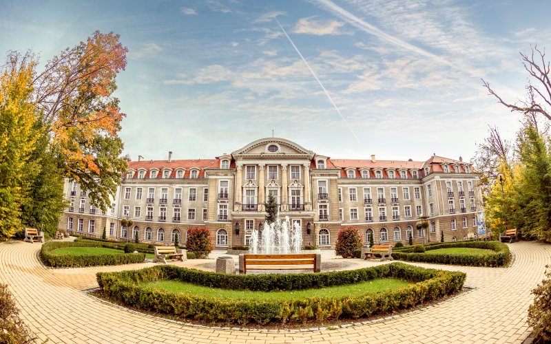 Leśny tor lub zjeżdżalnia wśród drzew