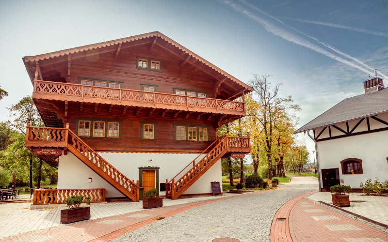 Leśny tor lub zjeżdżalnia wśród drzew