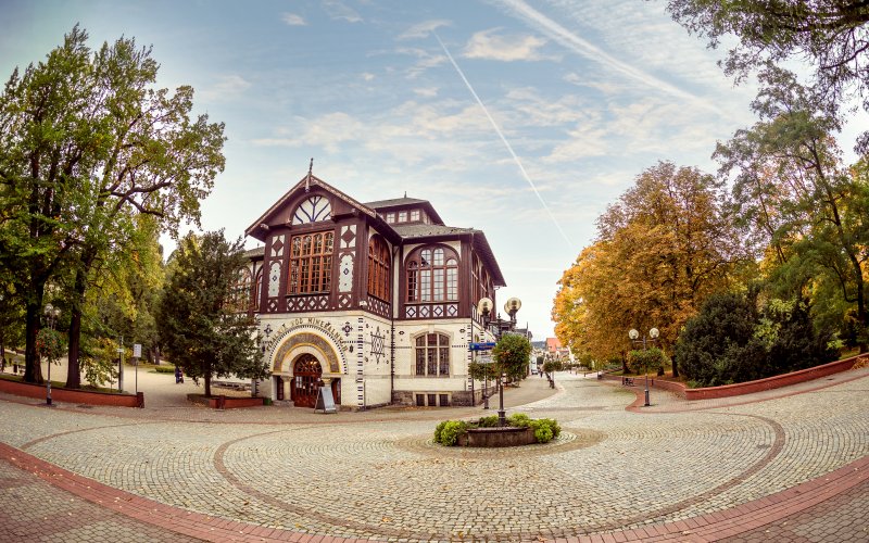 Leśny tor lub zjeżdżalnia wśród drzew