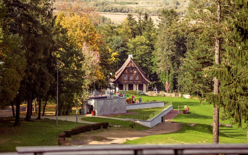 Leśny tor lub zjeżdżalnia wśród drzew