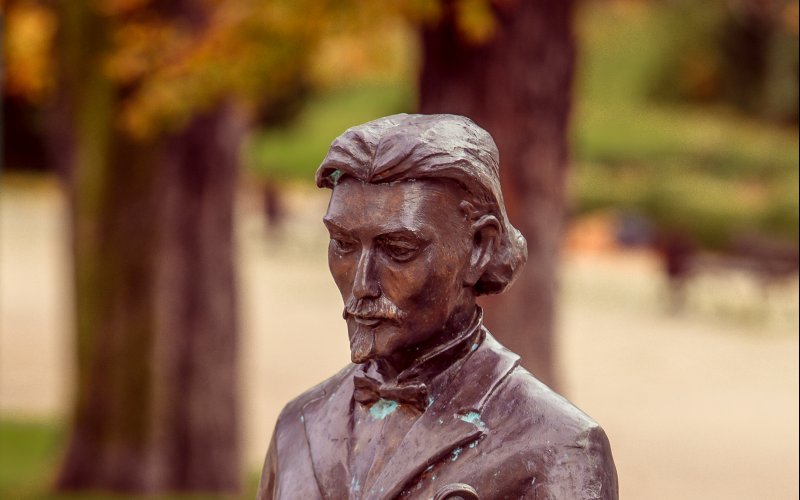 Leśny tor lub zjeżdżalnia wśród drzew