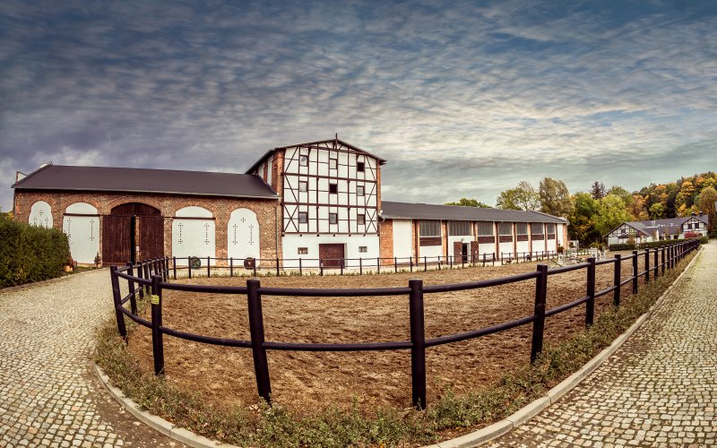 Leśny tor lub zjeżdżalnia wśród drzew