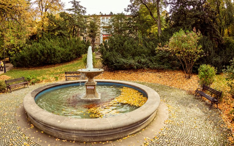 Leśny tor lub zjeżdżalnia wśród drzew