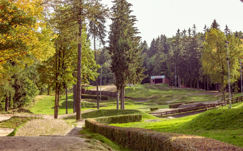 Leśny tor lub zjeżdżalnia wśród drzew