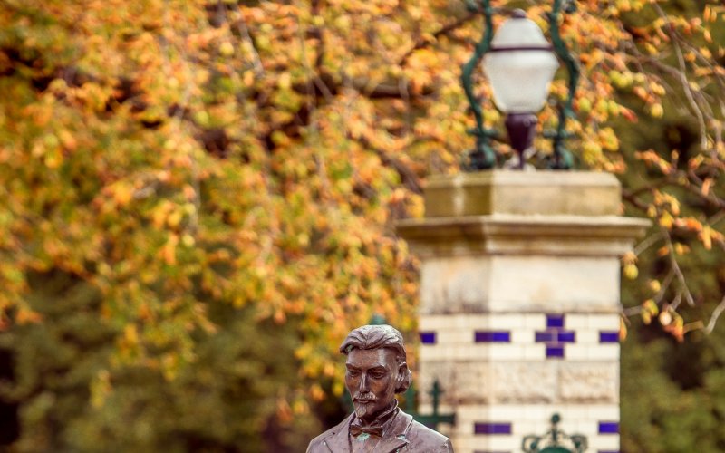 Leśny tor lub zjeżdżalnia wśród drzew