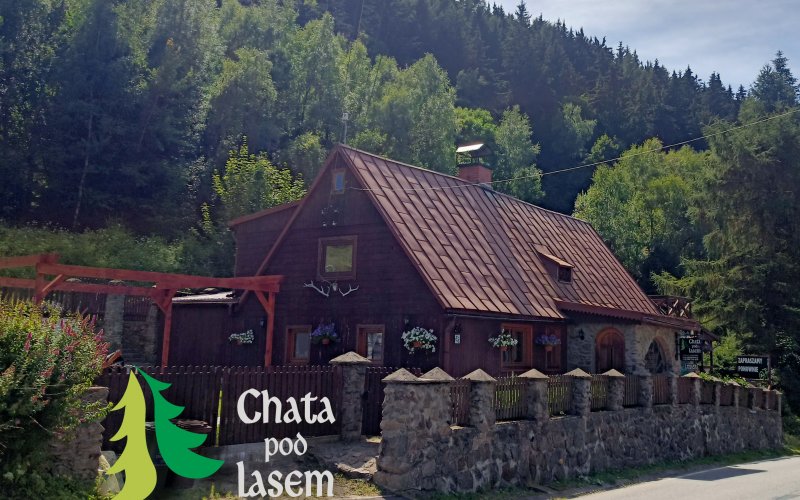 Chata pod lasem
