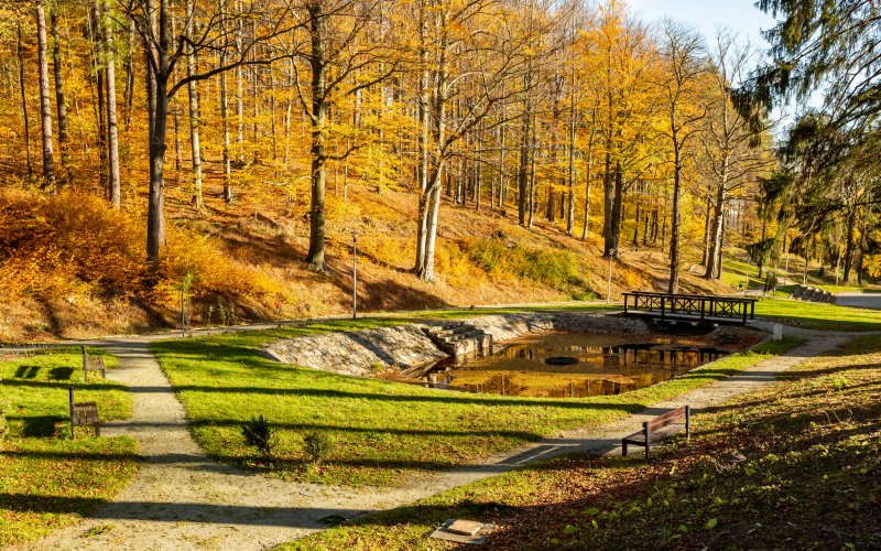 Park z alejkami spacerowymi, małym stawem i drewnianym mostkiem wśród jesiennych drzew