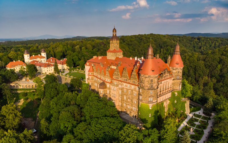 Zamek na wzgórzu otoczony gęstym lasem