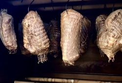 2ceca03d73aeb665ffcd2d7b42e3ab27 gr