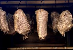 ca3e443923f44c506f3c30fb75a32eaf gr